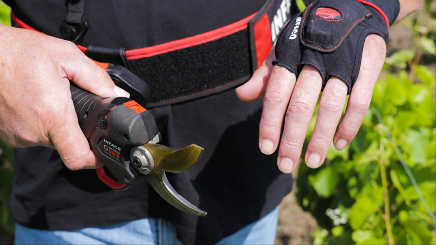 création de contenu vidéo secteur champagne, reims, epernay, marne