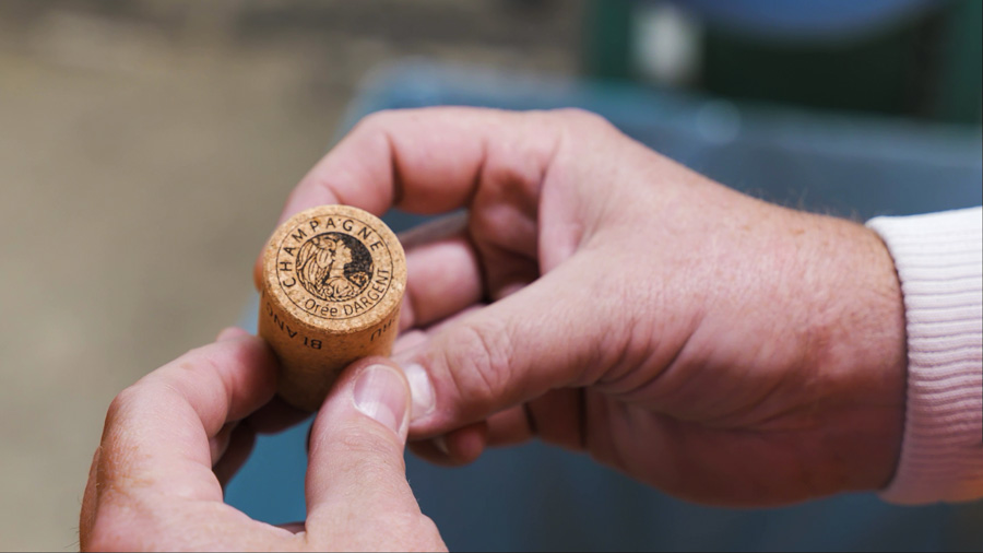 société de production vidéo à reims, en champagne, dans la marne.